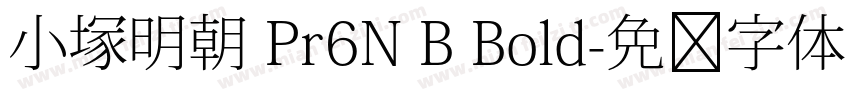 小塚明朝 Pr6N B Bold字体转换